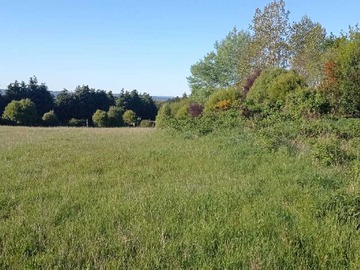 Terreno en venta en La mejor parcela en condominio (63535), Puerto Varas