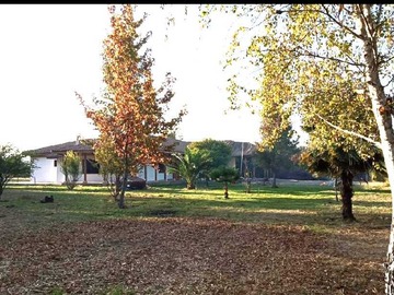 Casa en venta en 360 mts2 / 76.500 mts2. A 7 km plaza Parral (174493), Parral - 4 dormitorios, 3 baños