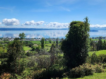 Terreno en venta en Parcela con vista priviligiada (125486), Lago Ranco
