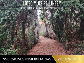 Parcela en venta en Los Pellines, Camino a las termas de Chillan, Chillán