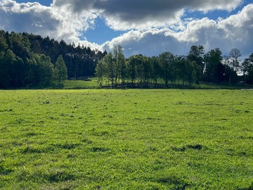 Terreno en venta en Parcelas en Venta Villarrica 5.000ha (139342), Villarrica