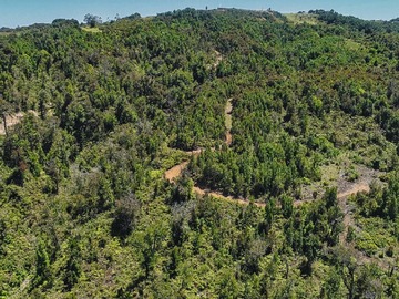 Parcela en venta en Estaquilla Beach, Los Muermos