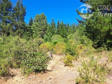 Parcela en venta en Ruta Q-15. Camino a Pedregal., Los Ángeles