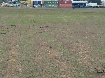 Sitio en venta en Km 240 Panamerica sur panguilemo, San Rafael
