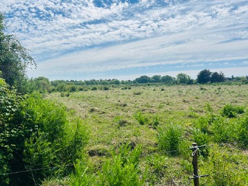 Terreno Agricola en venta en el caracol, Bulnes