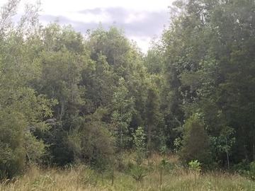 Parcela en venta en Pargua, Calbuco