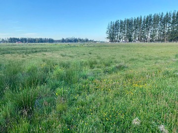 Terreno en venta en Linda parcela a la venta en Frutillar (16167), Puerto Varas