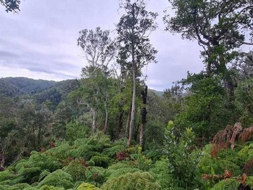 Terreno en venta en A una hora de puerto montt (70478), Puerto Montt