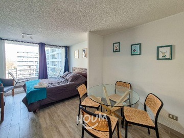 Departamento en arriendo mensual en Domeyko, Santiago - 1 dormitorio, 1 baño
