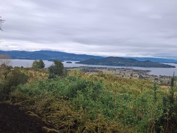 Terreno en venta en Rio Bueno Mantilhue, 20 Hectareas (172570), Río Bueno