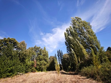 Terreno en venta en Terreno Amplio con Gran Potencial (166040), Yungay