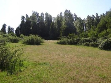 Sitio en venta en Cabrero - Bio Bio, Cabrero