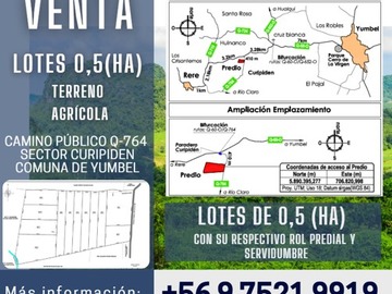 Venta / Terreno Agricola / Yumbel