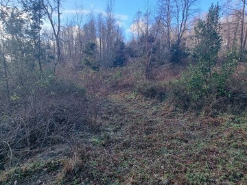 Parcela en venta en loncotraro alto, Villarrica