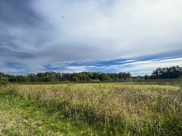 Terreno en venta en Entorno Natural y Tranquilidad Asegurada (156267), Valdivia