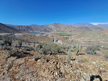 Venta / Terreno / Vicuña
