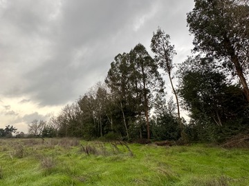 Venta / Parcela / Talca