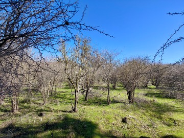 Parcela en venta en Se Vende Parcela en Condominio los Romeros en Quilpué.