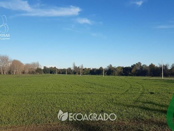 Venta / Terreno / Chillán