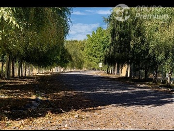 Parcela en venta en camino a rauco, Rauco - 5 dormitorios, 6 baños
