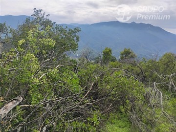 Parcela en venta en Cuestan Zapata, Curacaví