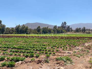 Terreno en venta en Parcela en Altovalsol, 10Ha planas (173256), La Serena - 3 dormitorios, 2 baños