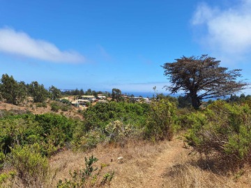 Terreno en venta en Terreno con vista al mar, tunquen y mirasol (66378), Algarrobo