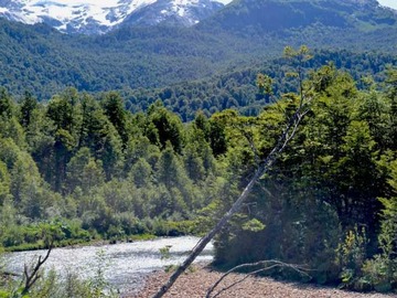 Terreno en venta en 10 hás orilla río Cóndor (168457), Aysén