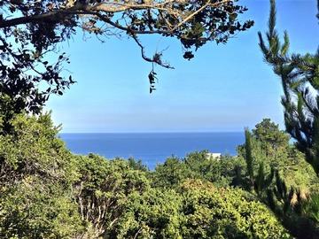 Sitio en venta en Coliumo, Los Morros, Punta Talca, Tomé
