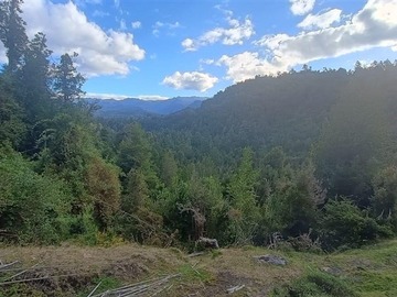 Terreno Agricola en venta en Calcurrupe bajo, Lago Ranco