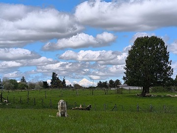 Terreno en venta en Parcela a 6 km de la plaza de Armas de Osorno (132407), Osorno
