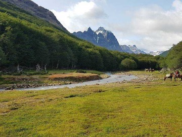 Terreno en venta en Terreno de 732 Ha. con Bosque Nativo (138880), Río Ibáñez