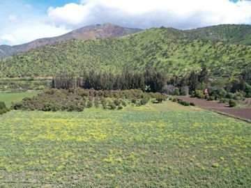 Venta / Terreno / Isla de Maipo