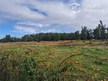 Parcela en venta en Tacamo, Osorno