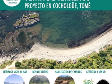 Terreno en venta en Calle Cocholgue - Coliumo 1600, Tomé