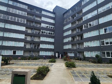 Departamento en arriendo mensual en Arriendo departamento en francisco bilbao (182636), Puerto Montt - 2 dormitorios, 1 baño