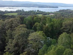 Parcela en venta en El Rebellin, Valdivia