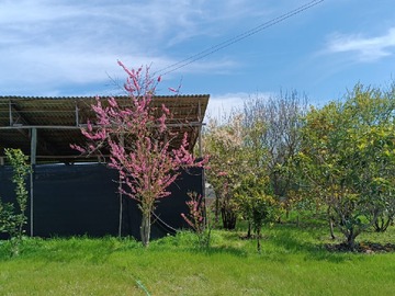 Parcela en venta en Huaquén, La Ligua - 3 dormitorios, 1 baño