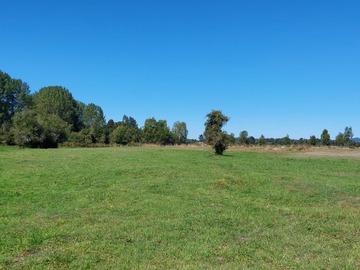 Parcela en venta en Allipen, Freire