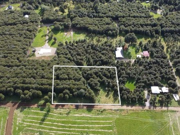 Terreno en venta en Parcela con Vistas al Cerro Marchant, Aysén (172857), Aysén