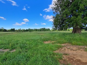 Parcela en venta en A 15 minutos de río bueno, Río Bueno - 1 dormitorio, 1 baño