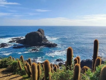 Parcela en venta en Cardenal, Pichilemu