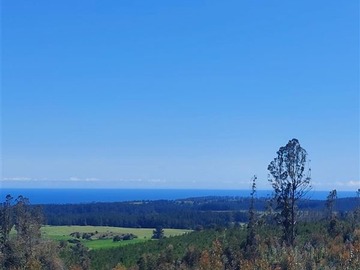 Parcela en venta en Cardonal de Panilonco, Pichilemu, Pichilemu