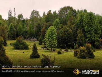 Venta / Terreno / Puerto Varas