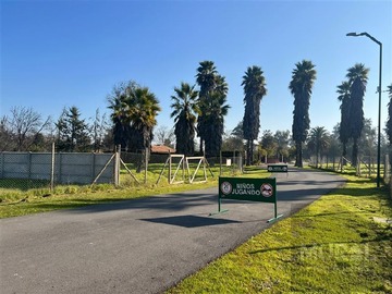 Parcela en venta en Camino El Oliveto esquina Lonquen Sur, Talagante