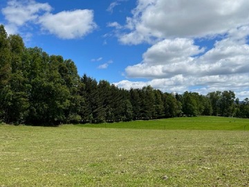 Terreno Agricola en venta en Nancahue, Loncoche