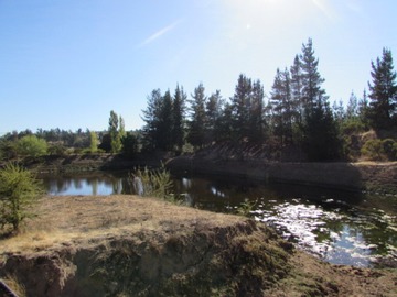Terreno en venta en Cauquenes 3 tranques acumuladores 97ha (116369), Cauquenes