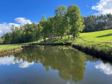 Parcela en venta en Ruta S-91, Loncoche, Araucanía 4970000, Chile, Villarrica