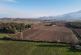 Parcela en venta en J-701, Curicó
