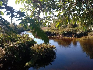 Parcela en venta en Carabineros trapen, Puerto Montt